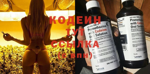 шишки Балабаново