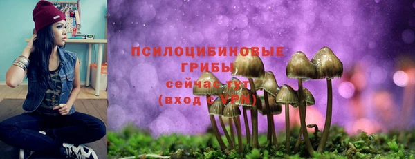 экстази Баксан